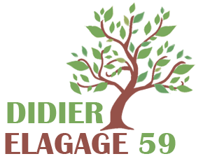 elagage-didier-elagage-59